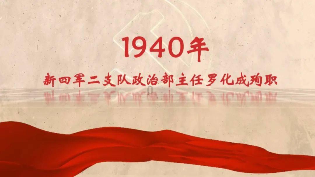 月光影视